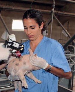 Cristina Sanmartín Ruiz